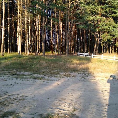 Квартира В Шацьку 외부 사진